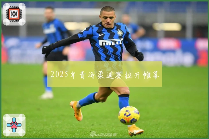 2025年青海柔道赛拉开帷幕