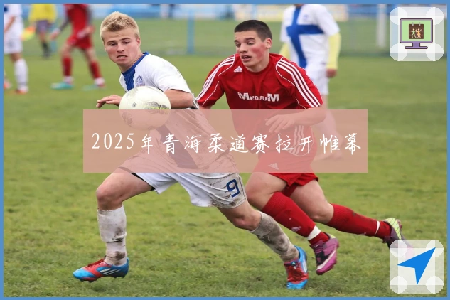 2025年青海柔道赛拉开帷幕